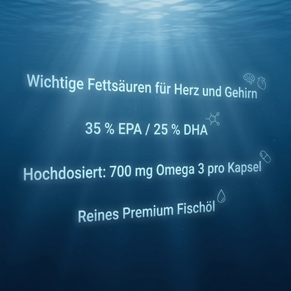 ONE Omega 3 – 1000mg Hochdosiert 35% EPA / 25% DHA – 120 Kapseln